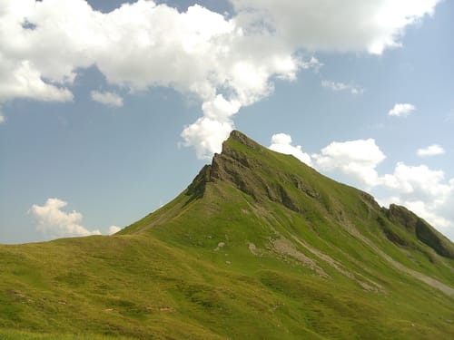 Jelte V.